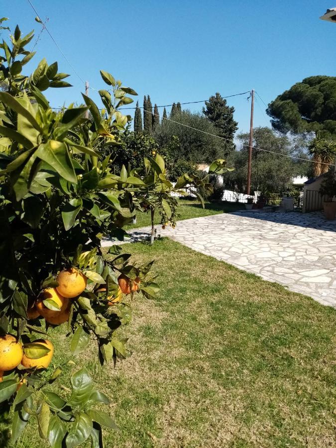 Villa Lemoni Corfu House à Achílleion Extérieur photo